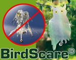 Birdscare® set van 2, huishouden & schoonmaken, ongediertebestrijding, Bescherm uw tuin, terras en balkon tegen al die ongewenste vogels